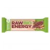 Baton Raw Energy cu arahide si cacao fara gluten x 50g Bombus